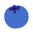 Icon Blueberry Icon