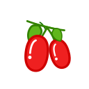 Red jujube Icon