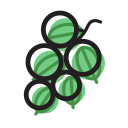 Green grape Icon