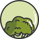 Broccoli -01 Icon