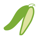 Balsam pear Icon