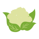 cauliflower Icon