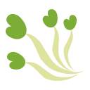 mungbean sprout Icon