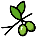 olive Icon