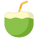 coconut-drink-icon Icon