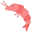 shrimp-icon Icon