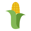 Corn option Icon