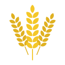 Wheat option Icon