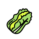 Chinese Cabbage Icon