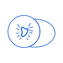 kiwifruit Icon