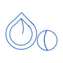 Macadamia nut Icon