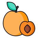 Linear apricot Icon