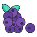 Linear Blueberry Icon