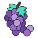 Linear grape Icon