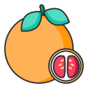 Linear grapefruit Icon