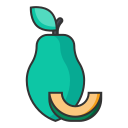 Linear papaya Icon