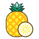 Linear pineapple Icon