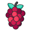 Linear Raspberry Icon