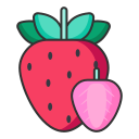 Linear strawberry Icon