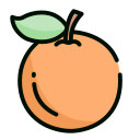 a mandarin orange Icon
