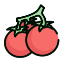 Cherry Tomatoes Icon