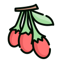 Chinese wolfberry Icon