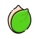 White melon seeds Icon