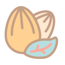 Food almond Icon