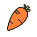 Fruit and carrot Icon