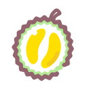 Dried fruit Icon