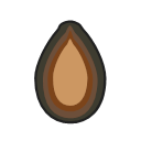 Watermelon seed Icon
