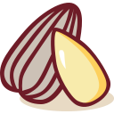 melon seed Icon