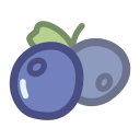 Dried Blueberry Icon