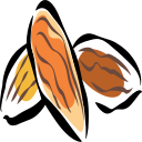 almond Icon
