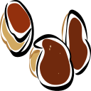 broad bean Icon