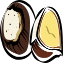 chestnut Icon
