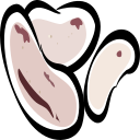 kidney bean Icon