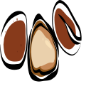 pine nuts Icon