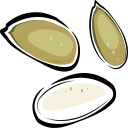pumpkin seeds Icon