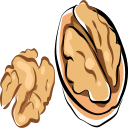 walnut Icon