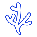 seaweed Icon