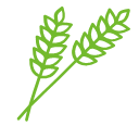 Vegetable leaf Icon
