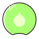 green apricot Icon
