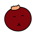 Food Cranberry Icon