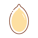 Pumpkin seed Icon