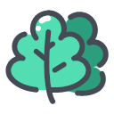 Young sapling Icon