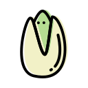 1_ pistachio Icon