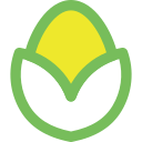 Corn Icon