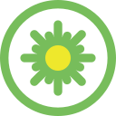 Kiwifruit Icon