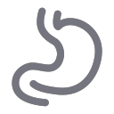 gastric cancer Icon